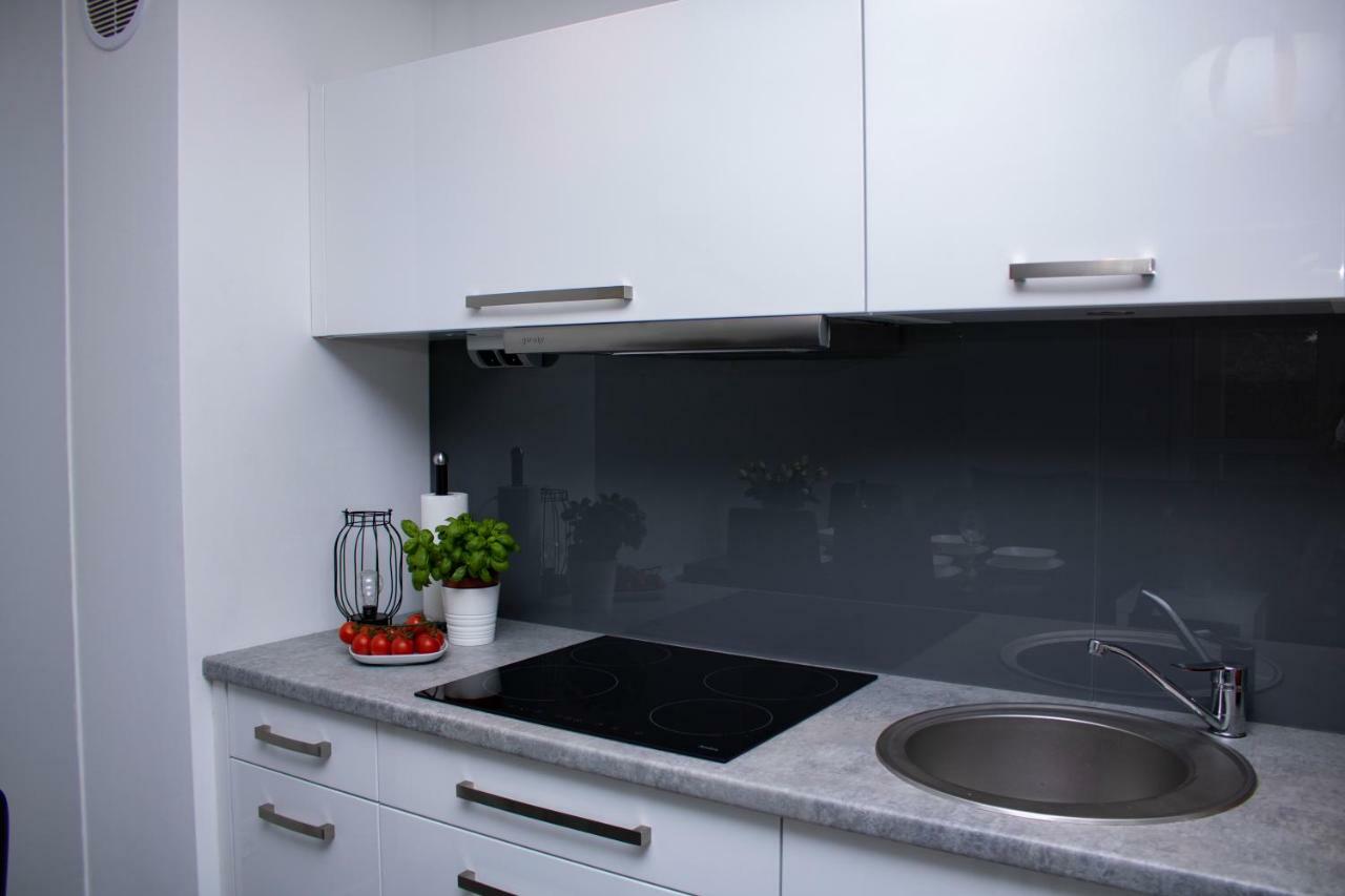 Apartament Z Ogrodkiem トシェンサチ エクステリア 写真